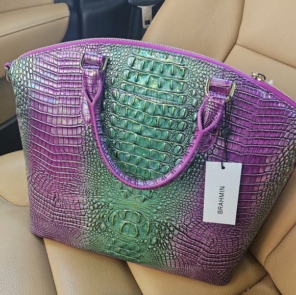 Brahmin - Picture 4 of 5